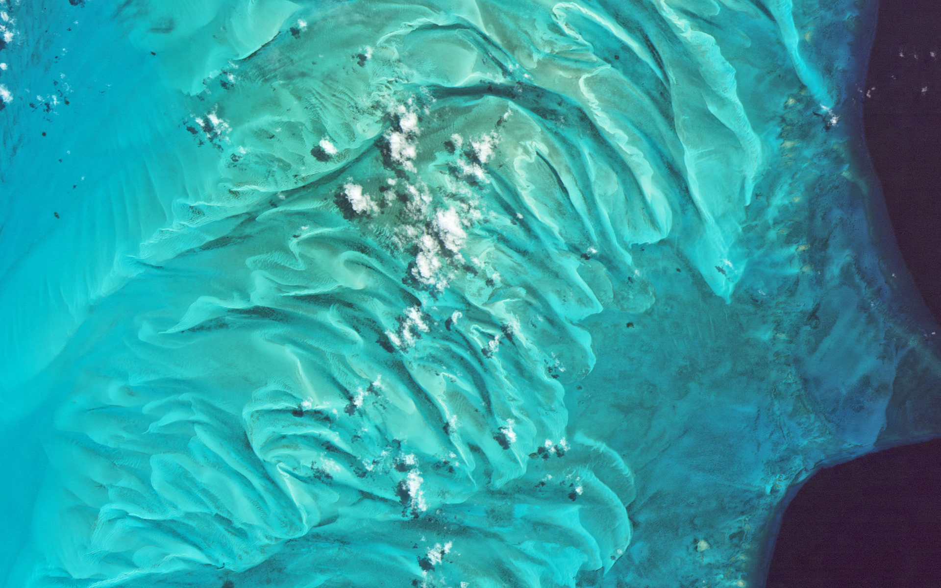 地球観測がもたらす、ビジネスへの新たなインサイト @Eleuthera West, Bahamas